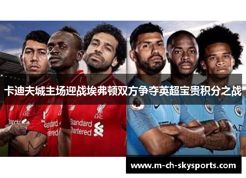 卡迪夫城主场迎战埃弗顿双方争夺英超宝贵积分之战