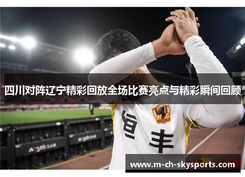 四川对阵辽宁精彩回放全场比赛亮点与精彩瞬间回顾